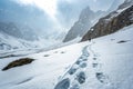 ExplorerÃ¢â¬â¢s Footprints in the Snowstorm Royalty Free Stock Photo